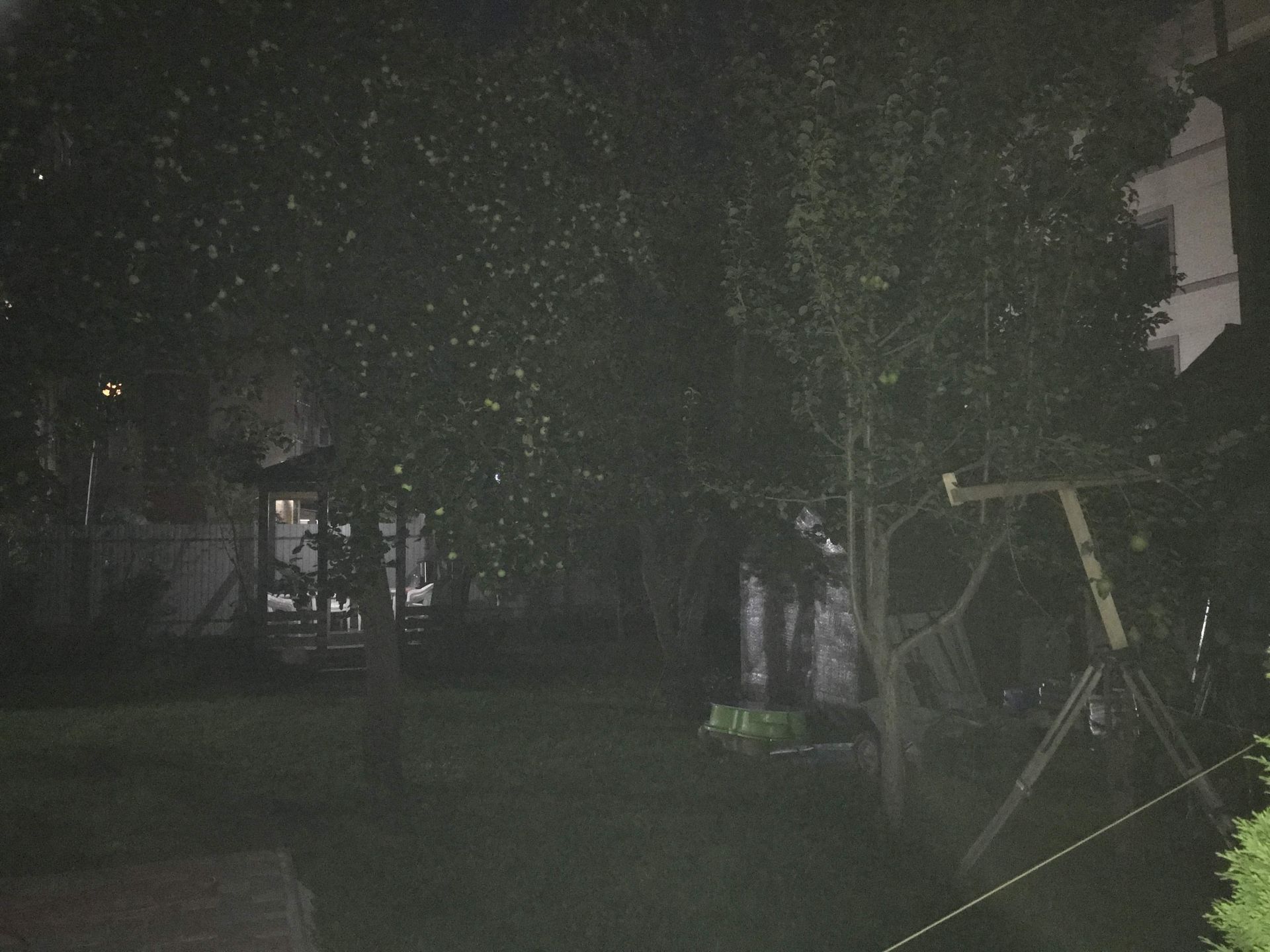 Фестиваль Тома Сойера в Казани: в саду Дома Беркутова тихо падают яблоки. 20 августа 2019