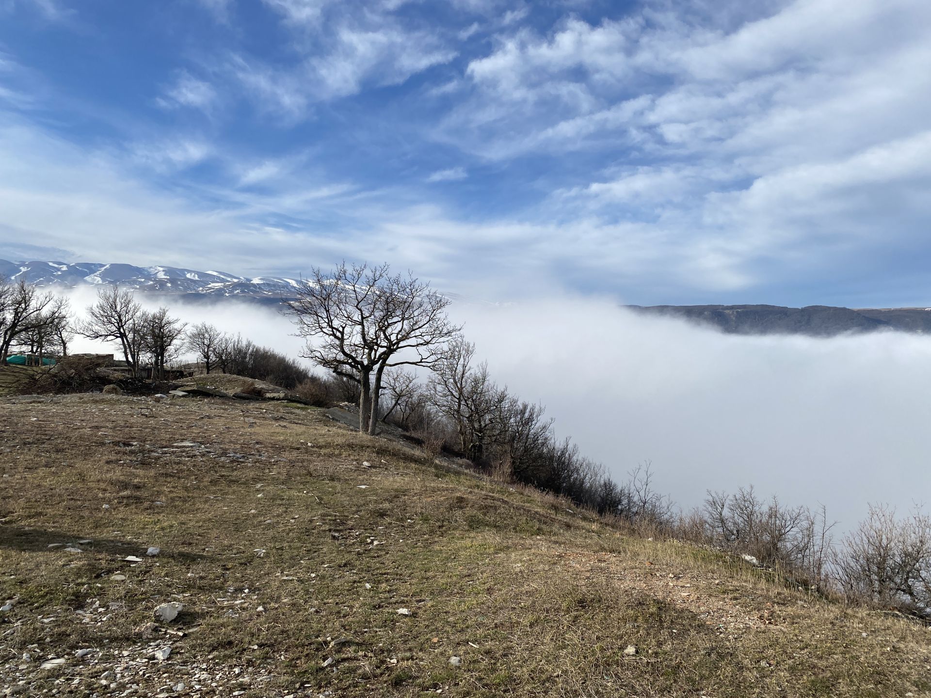 Горы,  солнце,  журавли  и немного  тумана