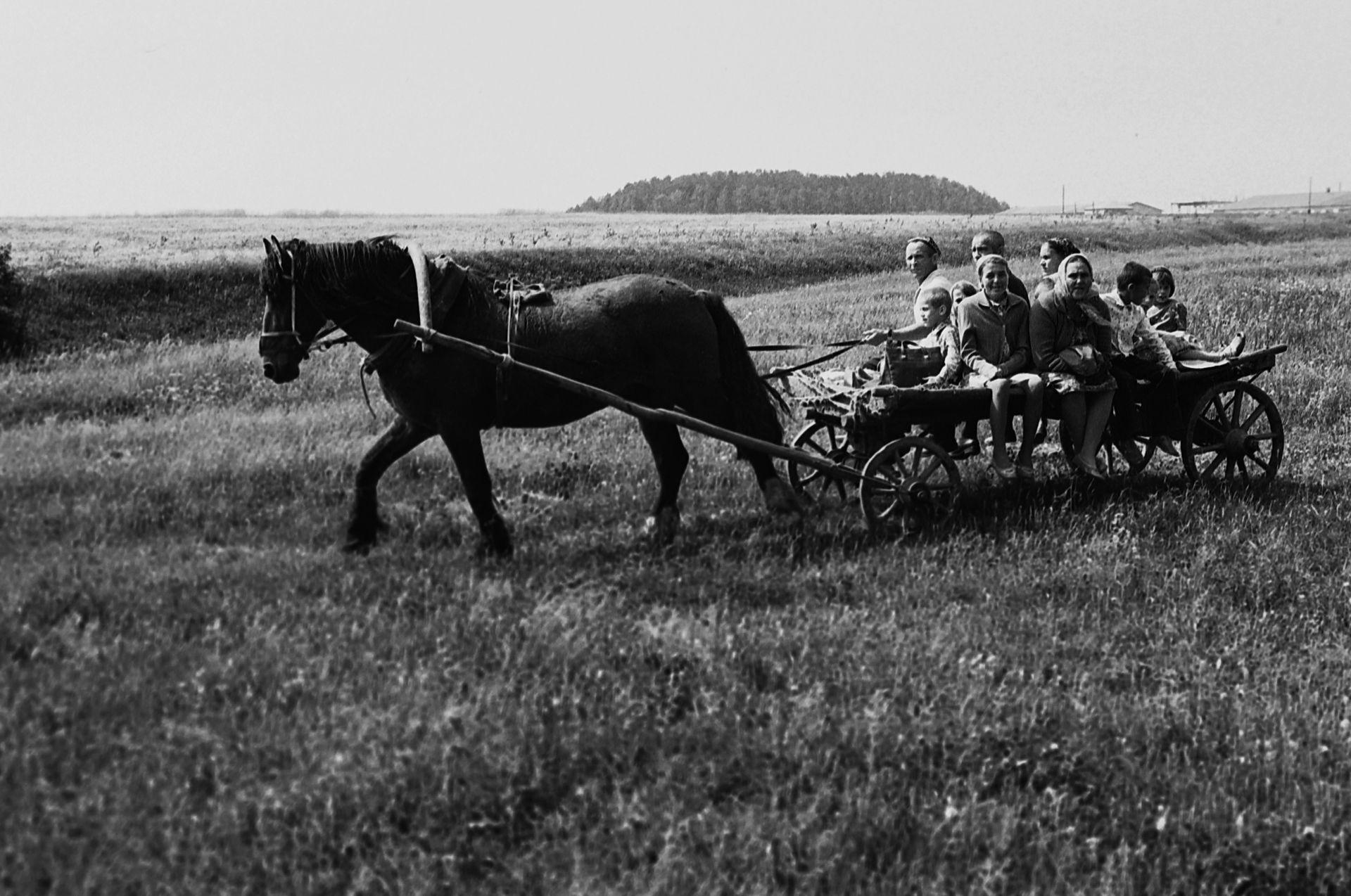 Праздник  плуга — 20 фактов о Сабантуе
