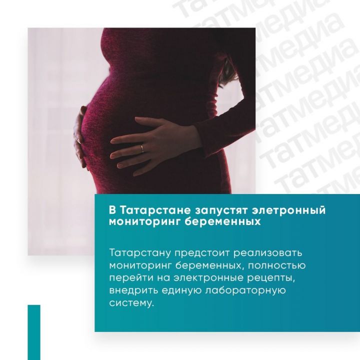 В Татарстане запустят электронный мониторинг беременных