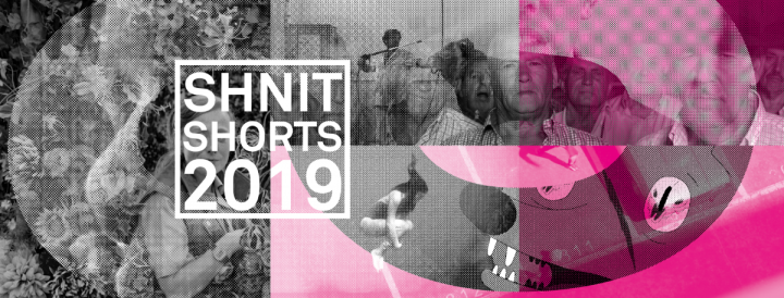 ‘Shnit Shorts 2019’ – в КДК Ленина покажут две новые программы