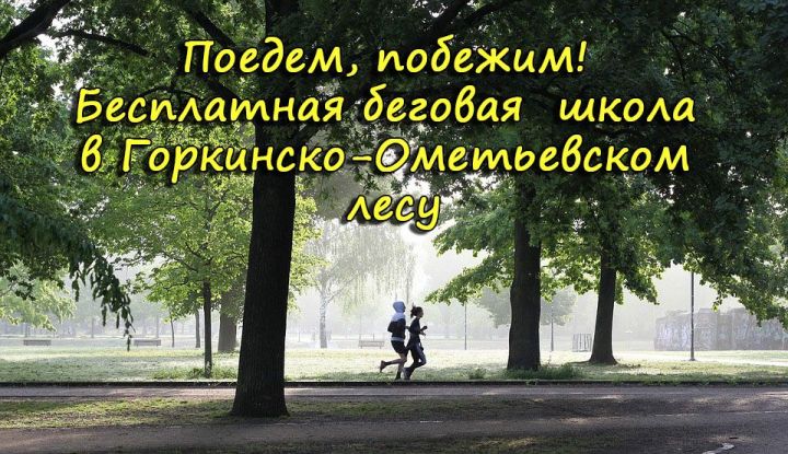 Поедем, побежим! Бесплатная беговая школа в Горкинско-Ометьевском лесу