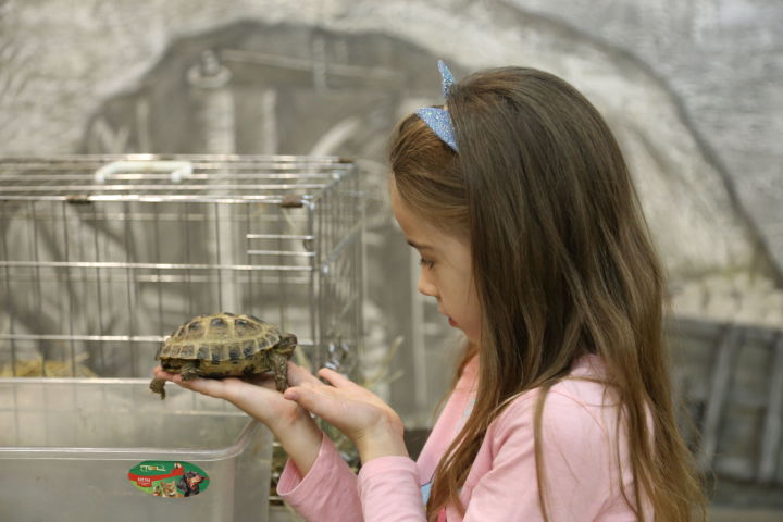 В Музее естественной истории Татарстана проведут Всемирный День защиты животных
