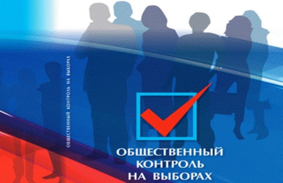 В Татарстане почти 3 тысячи общественных наблюдателей следят за ходом голосования