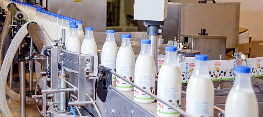 Татарстан возглавил ТОП-30 по производству молока в России