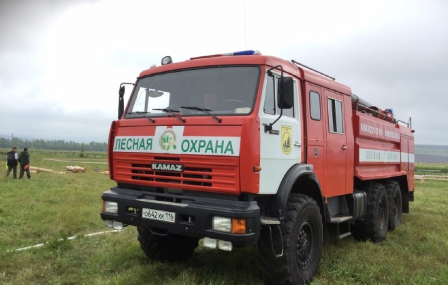 Минлесхоз РТ: Седьмой год в Татарстане проходит без единого лесного пожара
