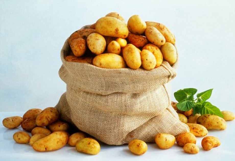 Ученые Республики Татарстан создали перспективный сорт картофеля Танго