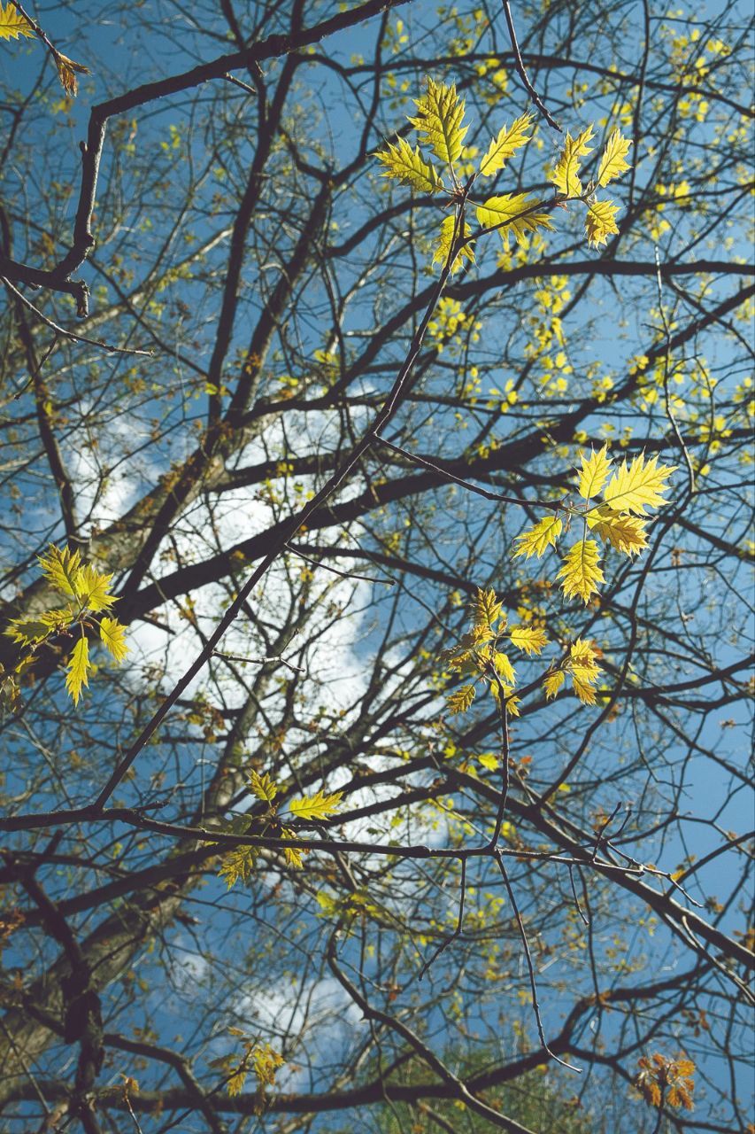 🌳29 июля 1927 было принято решение о создании Татарского лесного заповедника в Раифской лесной даче.