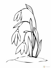 Подснежник — это вестник и символ надежды на долгожданный приход весны. А что означает  «подснежник» на милицейском сленге?