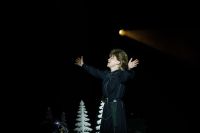 Вечная классика. Версия «Горького+». Часть II. Васса-Пересильд