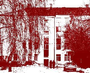 Лицей № 131 (ул. Бутлерова, 54)