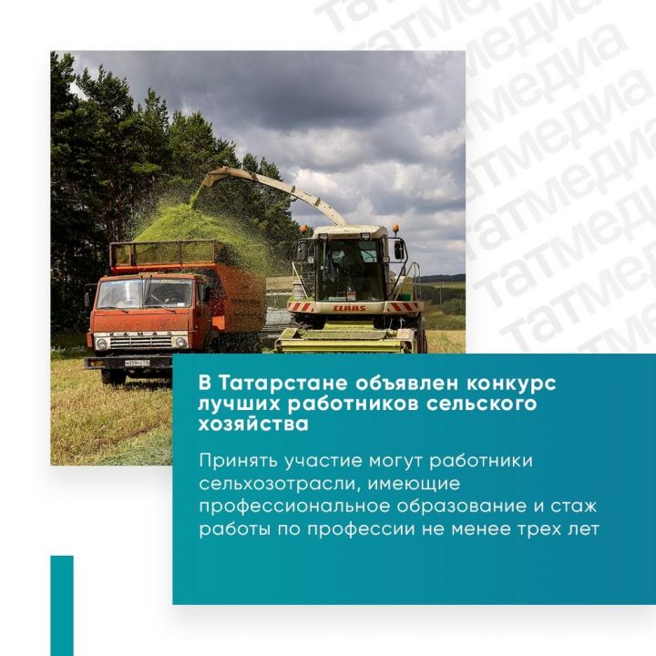 Минсельхозпрод Татарстана определит лучших работников отрасли по итогам конкурса