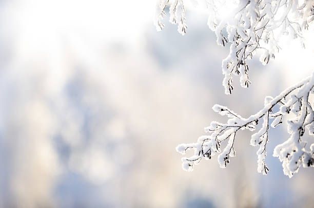 Эксперт КФУ рассказал, кто «украл» снег у жителей Казани
