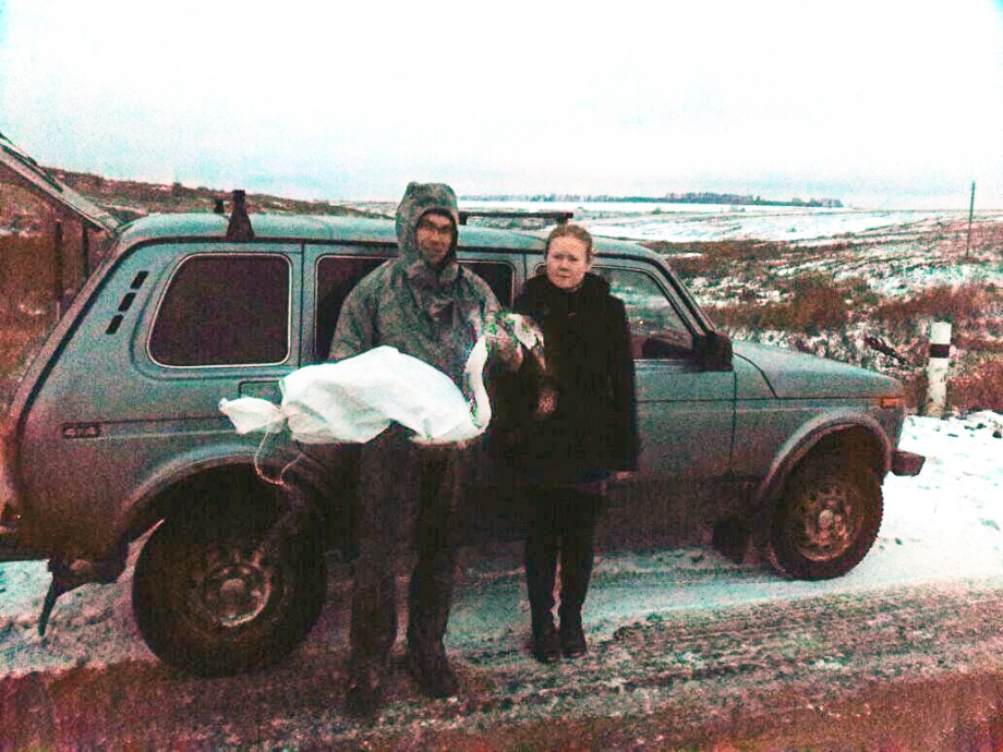 Как в селе Аркатово спасли лебедя-шипуна