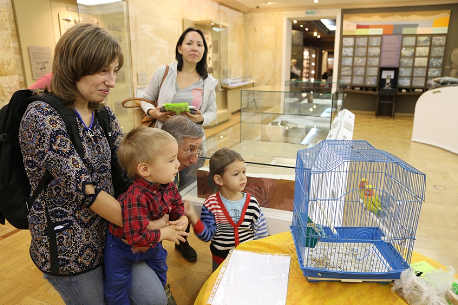 Всемирный день животных в Музее естественной истории Татарстана