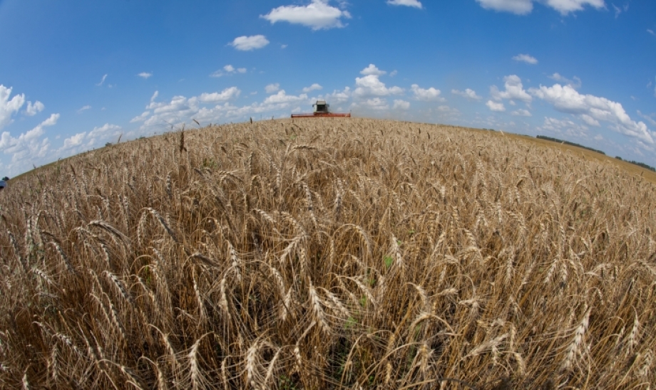 Марат Ахметов: В Татарстане собрано 5 млн тонн зерна – мы очень долго шли к этому результату